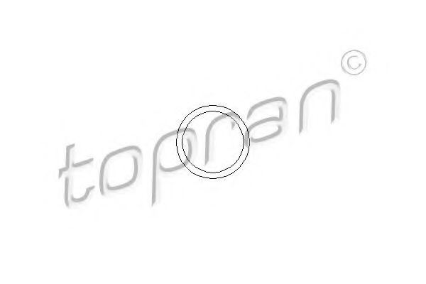 Прокладка патрубків термостата TOP 202326