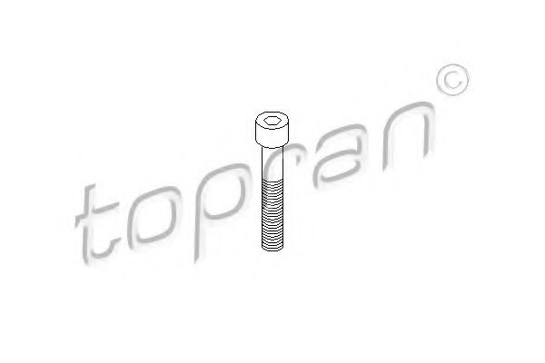 Болт TOP 110708